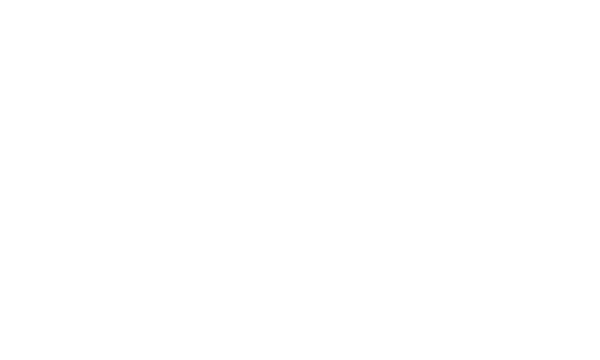 bb garage logo white